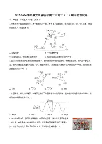 2025-2026学年黑龙江省哈尔滨三中高三（上）期末物理试卷（含答案）