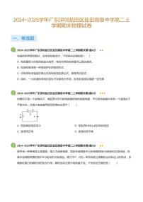 2024-2025学年深圳市盐田高级中学高二(上)期末物理试卷含答案