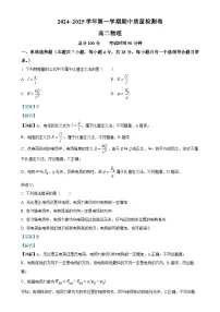 甘肃省武威市凉州区2024-2025学年高二上学期期中质量检测物理试卷（解析版）-A4