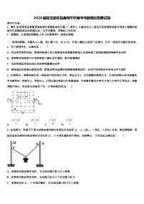 2026届湖北省恩施高级中学高考考前模拟物理试题含解析