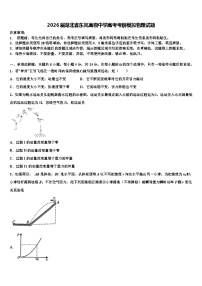 2026届湖北省东风高级中学高考考前模拟物理试题含解析