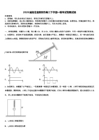 2026届湖北省黄冈市高三下学期一模考试物理试题含解析
