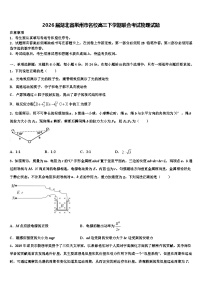 2026届湖北省荆州市名校高三下学期联合考试物理试题含解析