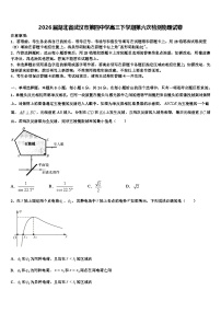2026届湖北省武汉市第四中学高三下学期第六次检测物理试卷含解析(1)