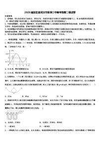 2026届湖北省武汉市新洲三中高考物理二模试卷含解析