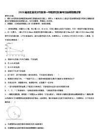 2026届湖北省武汉市新洲一中阳逻校区高考压轴卷物理试卷含解析