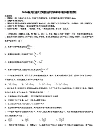 2026届湖北省武汉外国语学校高考冲刺模拟物理试题含解析