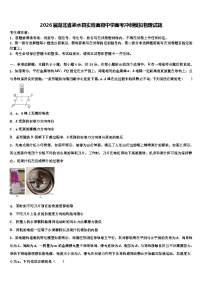 2026届湖北省浠水县实验高级中学高考冲刺模拟物理试题含解析