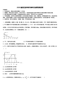 2026届湖北省孝感市高考压轴卷物理试卷含解析