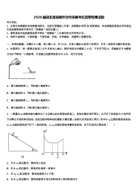 2026届湖北省宜昌市协作体高考仿真卷物理试题含解析