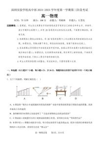 2024-2025学年深圳实验学校高一(上)期末物理试卷含答案