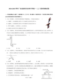 2024-2025学年深圳市红岭中学高一(上)期末物理试卷及答案