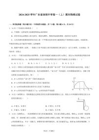 2024-2025学年深圳中学高一(上)期末物理试卷及答案
