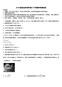 2026届湖北省孝感市高三下学期联考物理试题含解析
