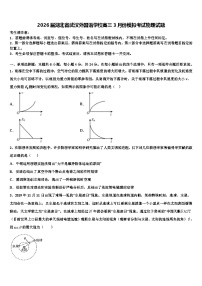 2026届湖北省武汉外国语学校高三3月份模拟考试物理试题含解析