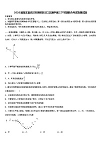 2026届湖北省武汉市黄陂区汉口北高中高三下学期联合考试物理试题含解析