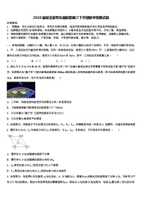 2026届湖北省鄂东南联盟高三下学期联考物理试题含解析