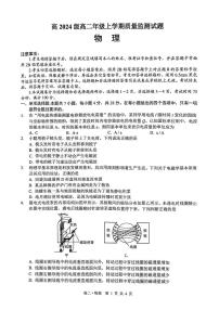 四川省泸州市2025-2026学年高二上学期期末质量检测物理试卷