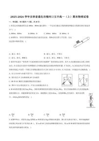 2025-2026学年吉林省通化市梅河口市第五中学高一上学期期末物理试卷（含解析）