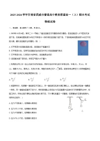2025-2026学年甘肃省武威市普通高中教育联盟高一（上）期末物理试卷（含答案）