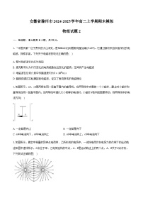 安徽省滁州市2024-2025学年高二上学期期末模拟物理试题2(含答案)