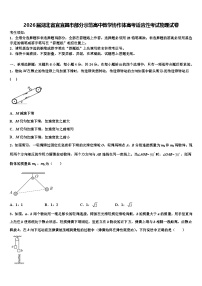 2026届湖北省宜宜昌市部分示范高中教学协作体高考适应性考试物理试卷含解析