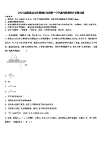 2026届湖北武汉市蔡甸区汉阳第一中学高考物理倒计时模拟卷含解析