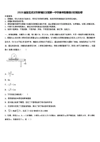 2026届湖北武汉市蔡甸区汉阳第一中学高考物理倒计时模拟卷含解析