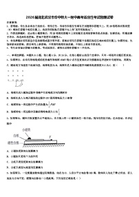 2026届湖北武汉市华中师大一附中高考适应性考试物理试卷含解析
