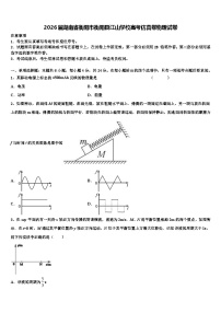 2026届湖南省衡阳市衡阳县江山学校高考仿真卷物理试卷含解析