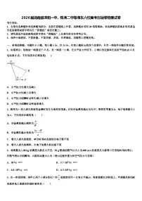 2026届湖南省浏阳一中、株洲二中等湘东六校高考压轴卷物理试卷含解析