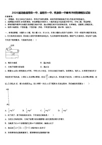 2026届湖南省澧县一中、益阳市一中、桃源县一中高考冲刺物理模拟试题含解析