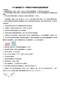 2026届湖南省宁乡一中等部分中学高考仿真模拟物理试卷含解析