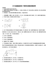 2026届湖南省双峰一中高考仿真模拟物理试卷含解析