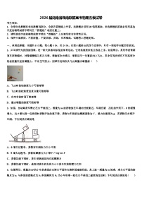 2026届湖南省湘南联盟高考物理五模试卷含解析