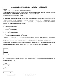 2026届湖南省永州市双牌县二中高考适应性考试物理试卷含解析