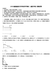2026届湖南省长沙市地质中学高三（最后冲刺）物理试卷含解析