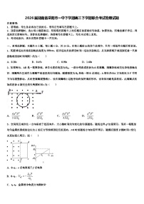 2026届湖南省岳阳市一中下学期高三下学期联合考试物理试题含解析