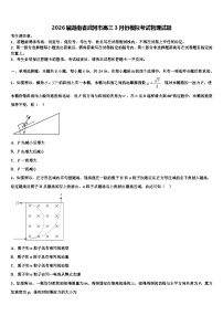 2026届湖南省武冈市高三3月份模拟考试物理试题含解析