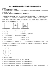 2026届湖南省衡阳八中高三下学期第五次调研考试物理试题含解析