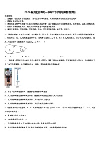 2026届湖北省枣阳一中高三下学期联考物理试题含解析