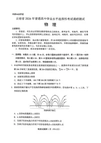 2026届云南省高三上学期选择性调研检测物理试卷（月考）