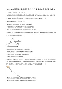 2025-2026学年湖北省荆州市高三（上）期末考试物理试卷（1月）-自定义类型