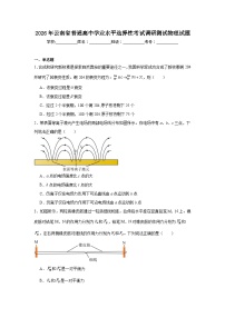 2026年云南省普通高中学业水平选择性考试调研测试物理试题（附答案解析）
