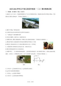2025-2026学年辽宁省辽西协作校高一（上）期末物理试卷（含答案）
