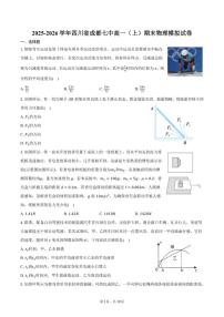 2025-2026学年四川省成都七中高一（上）期末物理模拟试卷（含答案）