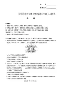 2025-2026学年湖南省名校联考高三上学期1月月考物理试题（有解析）
