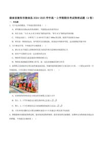 2024-2025学年湖南省衡阳市衡南县高一上学期期末考试物理试卷（有解析）