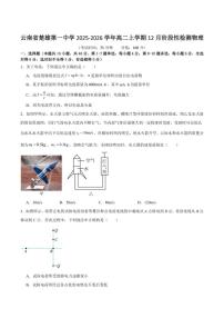 2025-2026学年云南省楚雄第一中学高二上学期12月阶段检测物理试卷（有解析）