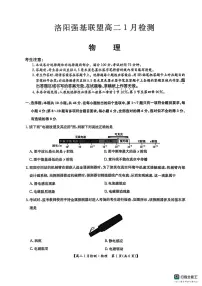河南省洛阳市洛阳强基联盟2025-2026学年高二上学期1月月考物理试卷（无答案）